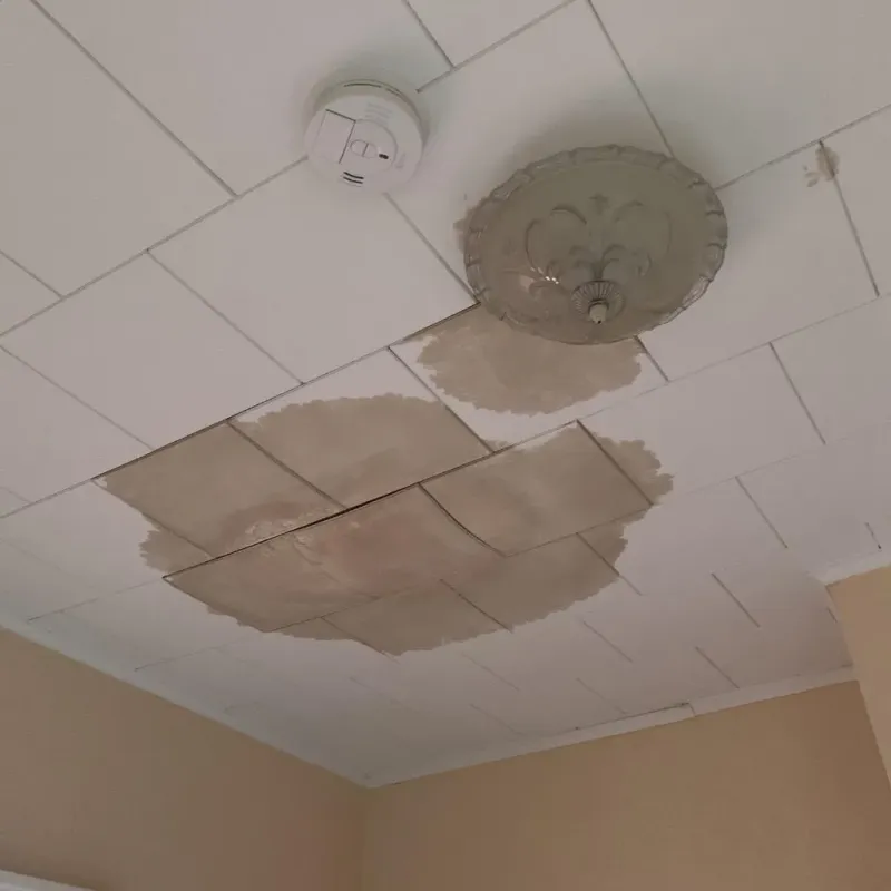 Ceiling Water Damage Repair in Titusville, PA