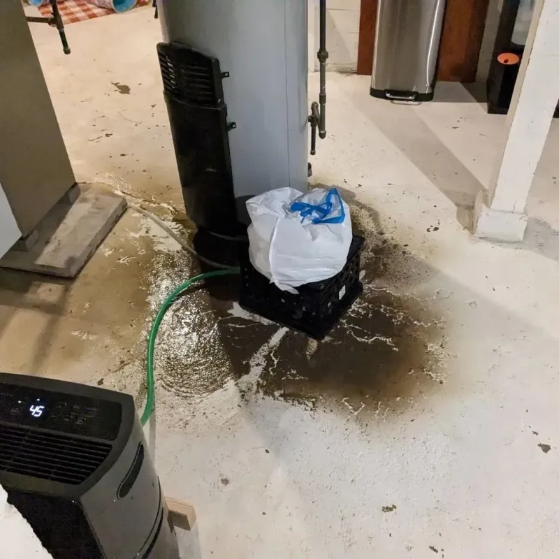 Sewage Backup Cleanup Service in Titusville, PA